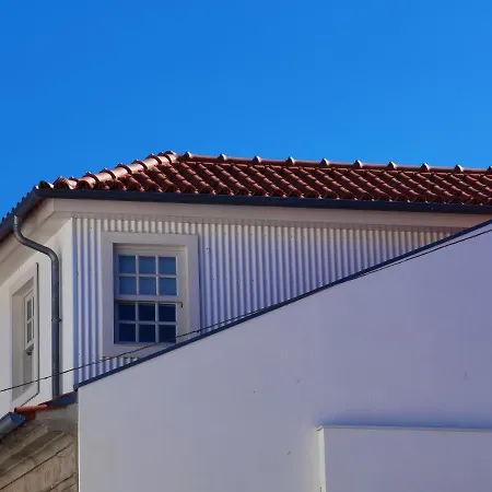 Mexia Galvao Center Viana do Castelo